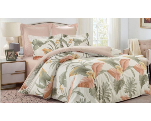 Постельное белье евростандарт С-364