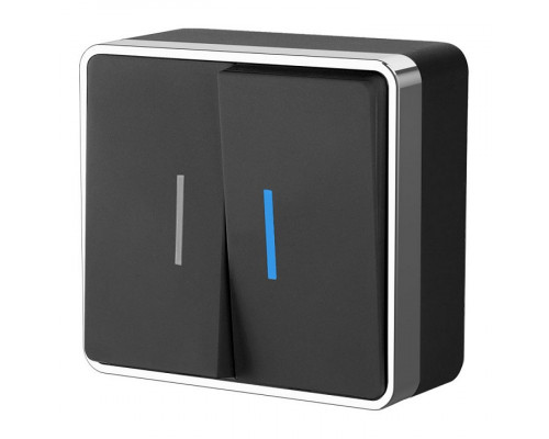 Выключатель двухклавишный с подсветкой Werkel  WL15-03-03 (черный)