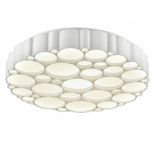 Накладной светильник Vele Luce Bible VL7151L01