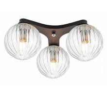 Потолочная люстра Citilux Коптер 