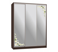 Шкаф-купе Бассо 4-600 розы