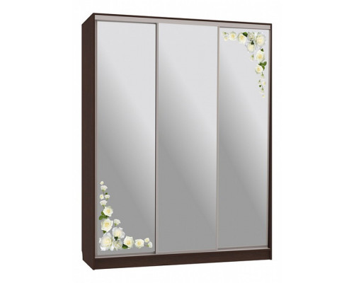 Шкаф-купе Бассо 4-600 розы