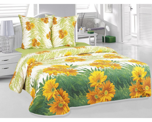 Постельное белье евростандарт Герберы
