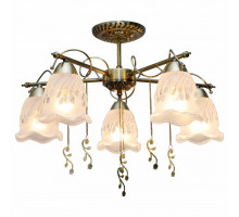 Потолочная люстра TopLight Delia TL1195X-05AB