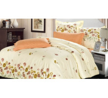 Постельное белье двуспальное B-158