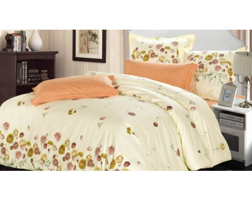 Постельное белье двуспальное B-158