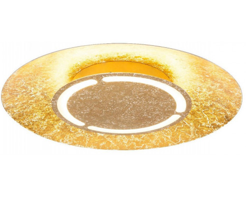 Накладной светильник Globo Tabea 41900-24