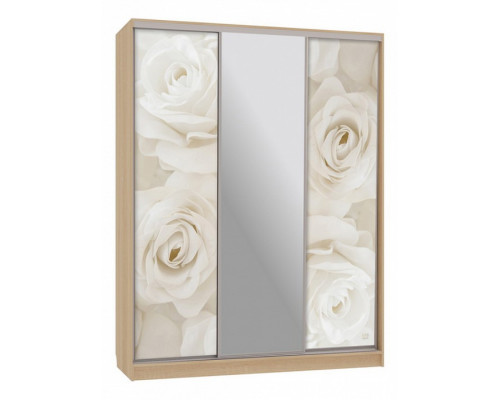 Шкаф-купе Бассо 10-600 розы
