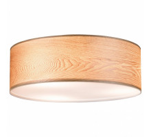 Накладной светильник Paulmann allCeiling 79650