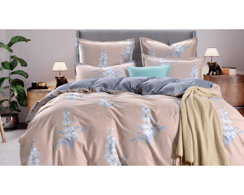Постельное белье евростандарт Лана