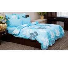 Постельное белье евростандарт Нежный шелест