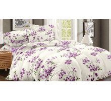 Постельное белье двуспальное Art Color 056-AC