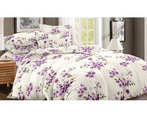 Постельное белье двуспальное Art Color 056-AC