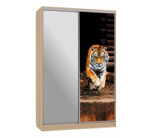 Шкаф-купе Рио 9-600 87