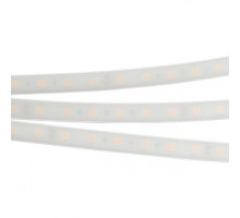 Лента светодиодная [5 м] Arlight  016181(2)