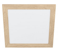 Накладной светильник Eglo ПРОМО Piglionasso 99471