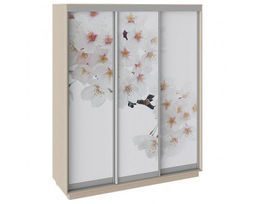 Шкаф-купе Румер