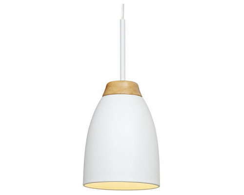 Подвесной светильник Loft it Watchman LOFT4402A-WH