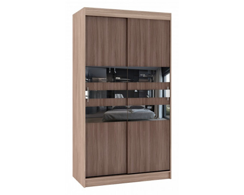 Шкаф-купе Риф-2 Зеркало вариант 6