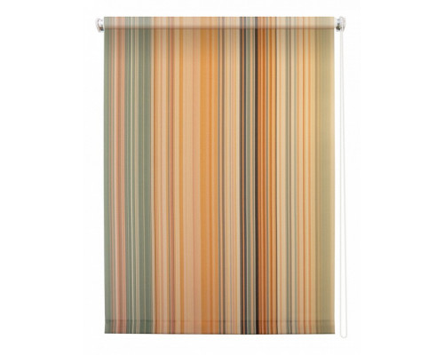 Штора рулонная (120x175 см) Спектр