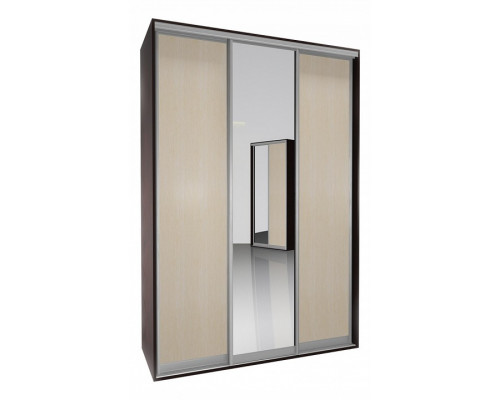 Шкаф-купе Мебелайн-2