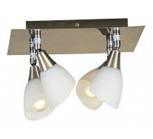 Спот Globo Frank 5451-4