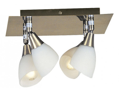 Спот Globo Frank 5451-4