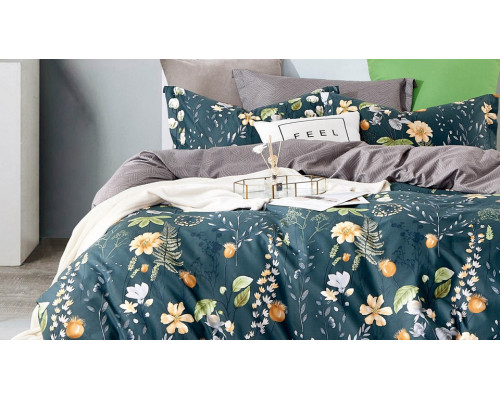 Постельное белье евростандарт Satin de Luxe