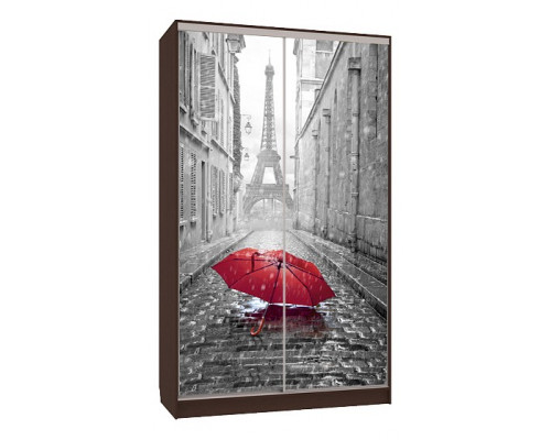 Шкаф-купе Рио 7-600