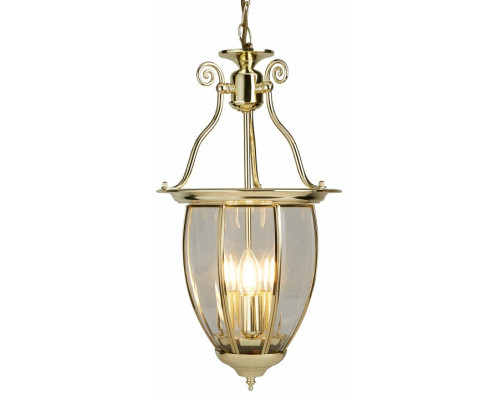 Подвесной светильник Arte Lamp Rimini A6509SP-3PB