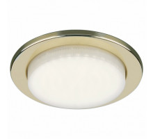 Встраиваемый светильник Elektrostandard 1035 a040749