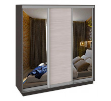 Шкаф-купе Румер СШК 1.210.70-13.11.13