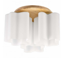 Накладной светильник Lightstar Nubi Legno 802035