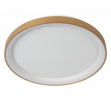 Накладной светильник Lucide Vidal 46103/38/02