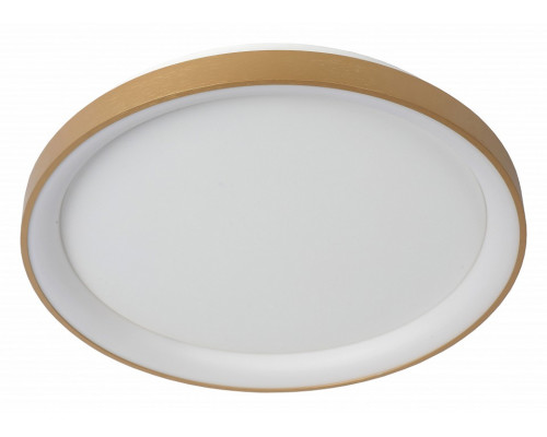 Накладной светильник Lucide Vidal 46103/38/02