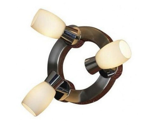 Спот Lussole Scalera