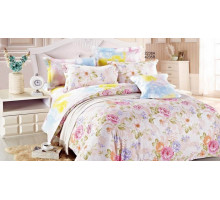 Постельное белье евростандарт C-167