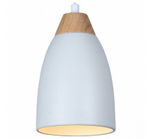 Подвесной светильник TopLight Leah TL0724H-2W