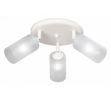 Спот Vitaluce V4294 V4294-0/3PL