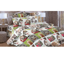 Постельное белье полутораспальное Дизайн 17055-1