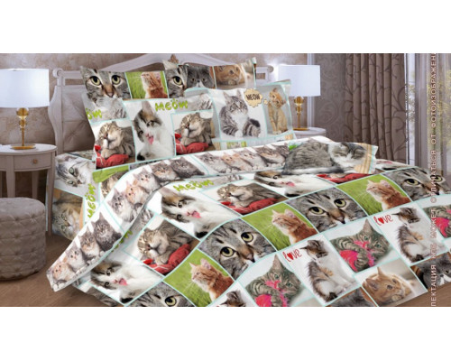 Постельное белье полутораспальное Дизайн 17055-1