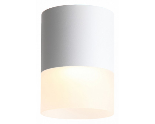 Накладной светильник ST-Luce Ottu