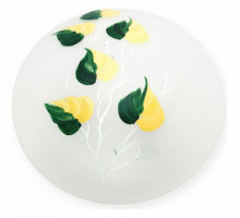 Накладной светильник TopLight Enilu TL9460Y-02OA