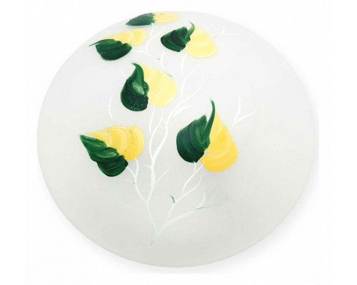 Накладной светильник TopLight Enilu TL9460Y-02OA