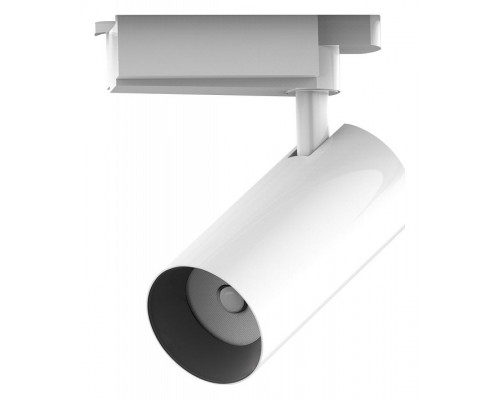 Светильник на штанге Gauss TR TR081