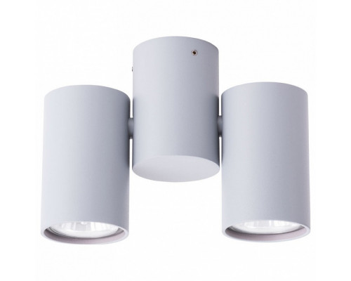 Спот Arte Lamp Gavroche A1511PL-2GY