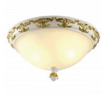 Накладной светильник Arte Lamp Benessere A9570PL-2WG