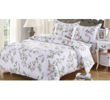 Постельное белье евростандарт AP-12