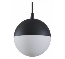 Подвесной светильник Maytoni Track lamps TR018-2-10W3K-B