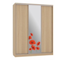 Шкаф-купе Бассо 1-600 маки